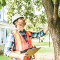 Protect Your Timber Frame Home with Expert Tree Inspection
