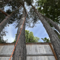 Clearing The Way: How Tree Removal In Gresham Enhances Timber Frame House Aesthetics