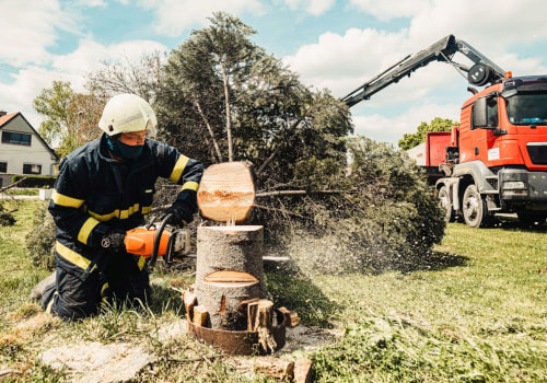 Enhancing Your Timber Frame House In Damascus: The Benefits Of Professional Tree Care Services