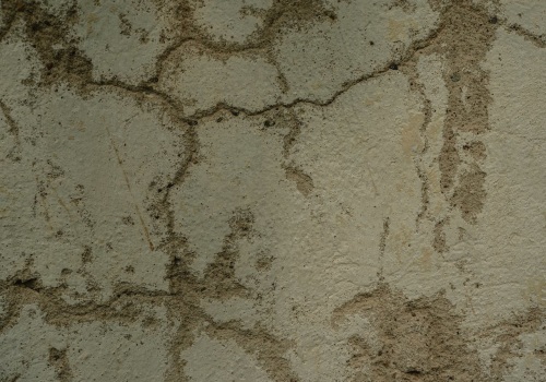 Preserving Timber Frame Houses in Manhattan