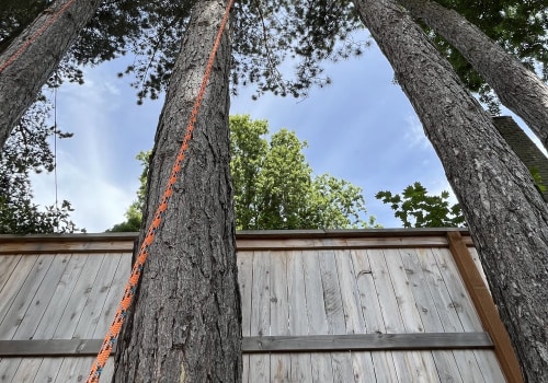 Clearing The Way: How Tree Removal In Gresham Enhances Timber Frame House Aesthetics